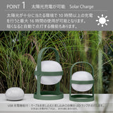 【ウィート】ソフトスポットソーラー サーキュラー 25cm/18cm ROSENDAHL ローゼンダール