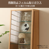 カリモク キュリオケース QT1810 オーク材 3色 コレクションボード 幅48.7cm 飾棚 コンパクト 安心 国産 karimoku