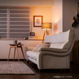 カリモク ソファ 2人掛椅子ロング小 ZW7312K 幅168cm モカブラウン 本革張 リーベル ハイバック 国産 karimoku