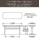 カリモク リビングテーブル TW4100 幅120高さ55cm PCテーブル スリム コンパクト カフェテーブル 国産 karimoku